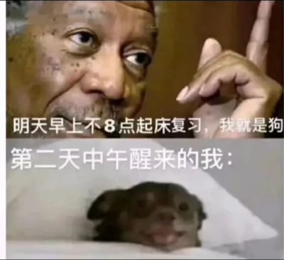 图片分为上下两部分，上半部分是一位人物食指指向上方，配文“明天早上不8点起床复习，我就是狗”，表情严肃，似乎在坚定地做承诺；下半部分是一只小狗趴在枕头上，配文“第二天中午醒来的我：”，小狗表情放松，形成幽默对比。通过前后承诺与现实的反差，自嘲无法坚持早起复习的拖延行为，充满搞笑和无奈的情绪。