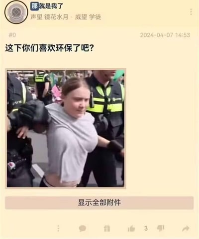 这是一张社交媒体截图，背景为淡黄色。帖子发布者为“那就是我了”，头衔显示“声望 镜花水月 · 威望 学徒”，发布时间为2024-04-07 14:53。帖子标题为“这下你们喜欢环保了吧?”，下方配有一张图片：画面中一名身穿灰色上衣的女性被多名身穿黑色制服、带有黄色反光条的警察控制，女性身体前倾，表情略显挣扎，周围似乎有其他人群。整体内容通过警察控制环保人士的场景，以讽刺的语气质疑环保相关议题。
