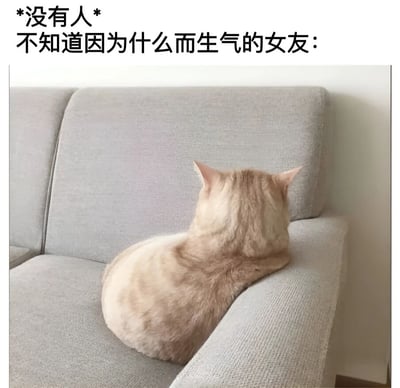 图片上方配有文字'*没有人* 不知道因为什么而生气的女友：'，下方是一只浅色猫咪背对着镜头坐在灰色沙发上的照片。猫咪身体蜷缩，耳朵竖起，面向沙发靠背，呈现出一种不理不睬、拒绝沟通的姿态。该梗图通过猫咪冷漠的背影幽默类比了情侣关系中女友莫名生气时的状态，引发共鸣和笑点。