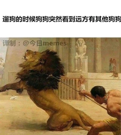 这是一张搞笑的文字加注梗图，上方配文“遛狗的时候狗狗突然看到远方有其他狗狗”，下方是一幅古埃及主题的古典油画：画面里一名古埃及装扮的男子身体后倾，双手紧紧拽住绳索，拼尽全力拉扯；绳索另一端的狮子前爪抬起、身体前倾，仰头看向远方，神态兴奋急切，正试图挣脱绳索。这幅图用夸张的狮子与人类的拉扯场景，幽默地还原了现实中狗狗看到同类时，兴奋到挣脱牵引绳、狗主人费力拉扯的常见日常，让养狗人群能产生强烈共鸣，充满趣味性。