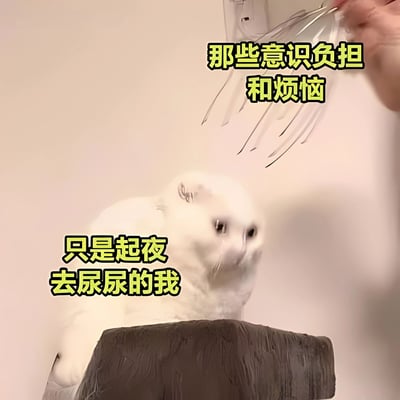 一只表情惊恐的白猫坐在深色物体上，上方有一只手拿着叉子。图片配文幽默地表现了深夜起夜时内心的恐惧和焦虑，将简单的生理需求夸张为充满心理负担的场景。
