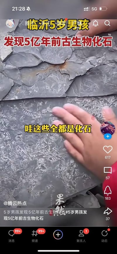 这是一张竖屏格式的社交媒体短视频截图，画面核心内容是一名5岁男孩的手触摸着一块布满密集痕迹的灰色岩石，这些痕迹是5亿年前的古生物化石。画面上方和中部叠加了醒目的红色、黄色文字，标注事件关键信息：“临沂5岁男孩 发现5亿年前古生物化石”“哇这些全都是化石”。截图底部展示了该视频的互动数据：点赞617、评论57、转发37、收藏183，还有发布账号@腾云热点的文案“5岁男孩发现5亿年前古生物化石#5岁男孩发现5亿年前古生物化石”，以及平台的底部导航栏（消息、频道、联系人、动态），界面右上角显示当前时间21:28、5G网络状态。