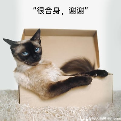 暂无描述