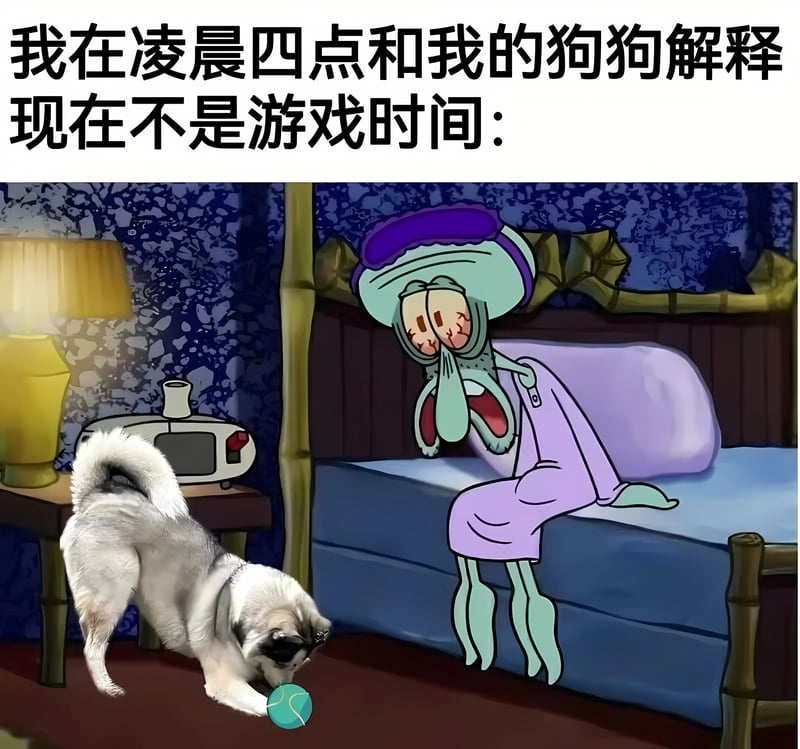 章鱼哥