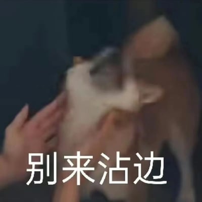 一只狗被两只手从两侧推开，表情似乎有些抗拒和不耐烦。图片下方配有醒目的文字'别来沾边'，表达拒绝他人靠近或参与的态度。