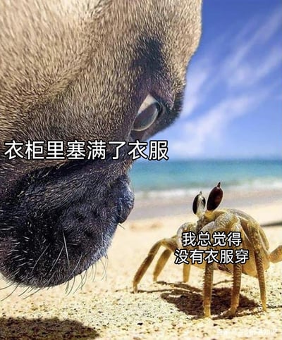 这是一张基于真实动物摄影照片创作的搞笑梗图，画面呈现海边沙滩场景，一只狗狗凑近面前的小螃蟹，分别为两者配上贴合生活的文字：狗狗的配文是“衣柜里塞满了衣服”，螃蟹的配文是“我总觉得没有衣服穿”，精准调侃了当代很多人明明衣柜被衣服塞满，却依旧觉得没有合适衣服可穿的日常穿衣困境，用动物互动的趣味画面来表现这种矛盾心理，十分诙谐接地气。