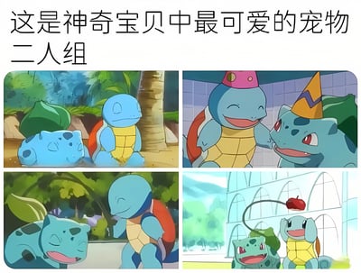 图片为四格拼接的动漫场景，上方配有文字“这是神奇宝贝中最可爱的宠物二人组”。左上角画面中，妙蛙种子趴在地上睡觉，杰尼龟坐在一旁；右上角中，杰尼龟和妙蛙种子分别戴着粉色和黄色派对帽，面带微笑互动；左下角里，杰尼龟俯身看着开心的妙蛙种子；右下角场景中，两者面前有悬挂的苹果，表情兴奋。整体展现了杰尼龟与妙蛙种子的可爱互动瞬间。