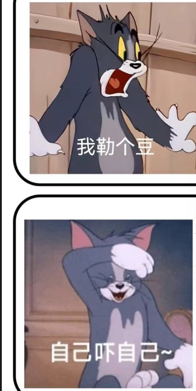 这是一张上下拼接的两格表情包，全部采用经典动画《猫和老鼠》中汤姆猫的素材：上半部分的汤姆毛发炸起，眼睛瞪大嘴巴大张，双手摊开，呈现出极度震惊错愕的状态，下方配网络流行语“我勒个豆”，表达受到巨大惊吓后的反应；下半部分的汤姆单手扶住额头，脸上带着哭笑不得的自嘲表情，下方配文“自己吓自己~”，表达反应过来后发现是自己过度反应、虚惊一场的轻松自嘲状态，整体生动展现了人遇事先大惊失色，后发现是自己吓自己的情绪反差，很有代入感。