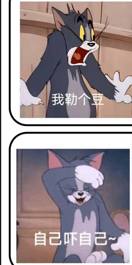 猫和老鼠