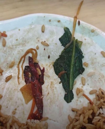 这是一张近距离拍摄的白色餐盘照片，餐盘内残留着少量用餐后的食物：包括被烹制得干缩的绿叶青菜、几段干红辣椒、散落的杂粮饭粒，还有一些粘稠的酱汁丝状物附着在餐盘上，餐盘表面也沾有淡淡的油渍和调料痕迹，呈现出用餐后剩余少量配料的状态。