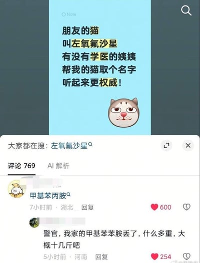 这是一张社交平台评论区截图，上方是发帖内容：楼主表示朋友的猫名叫抗生素药物“左氧氟沙星”，想请学医的网友给自己的猫也取一个听起来更权威的名字，配图是一个贱兮兮的猫咪表情，页面还显示“大家都在搜：左氧氟沙星”。下方评论区热评第一的网友回复“甲基苯丙胺”（即毒品冰毒的化学名），第二条评论顺着玩梗，假装报警称“警官，我家的甲基苯苯胺丢了，什么多重，大概十几斤吧”，利用“甲基苯丙胺是违禁品，丢失十几斤属于重大案件”和“实际丢失的是叫这个名字的十几斤重的猫”的认知反差制造笑点，内容十分搞笑。