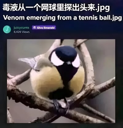 图片顶部有中英文文字标题“毒液从一个网球里探出头来.jpg”和“Venom emerging from a tennis ball.jpg”，下方显示用户名“juicycunts”、浏览量“8,428 Views”及“Give Emerald”按钮。主体内容为一只小鸟，头部黑色带白色脸颊斑块，身体黄色，正栖息在交错的树枝上。图片通过标题与内容的强烈反差制造幽默效果——标题暗示漫威角色毒液从网球中出现，实际画面却是一只可爱的小鸟。