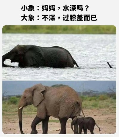 这是一张上下双图拼接的梗图，通过大象母子对水深的不同认知制造幽默效果。上图显示一头成年大象站在水中，只有背部露出水面；下图则展示成年大象带着小象在陆地上行走，直观呈现两者体型差异。

图片利用了体型差异造成的认知偏差作为笑点：大象妈妈基于自身身高觉得水只没过膝盖，却没考虑到这个深度对小象而言可能完全不同。