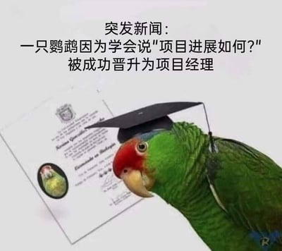 这是一张充满职场讽刺意味的搞笑P图，画面主体是一只头部红色、身体绿色的真实鹦鹉，它戴着黑色的学士帽，身旁放置着一张带有它头像的证书。图片上方配有文字：“突发新闻：一只鹦鹉因为学会说‘项目进展如何？’被成功晋升为项目经理”。
这张图用夸张戏谑的方式，调侃部分职场中项目经理的工作被简化为仅询问项目进展的现状，借助鹦鹉模仿人类说话的特性，将这种职场现象具象化，充满幽默的吐槽与讽刺感。