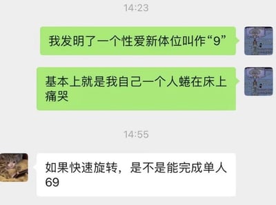 这是一张聊天记录截图，展示了一段幽默对话。绿色气泡用户自称发明了名为“9”的新体位，实际上只是“自己一个人蜷在床上痛哭”的自嘲。另一用户用猫头像回应，调侃“如果快速旋转，是不是能完成单人69”，形成搞笑的性暗示双关。