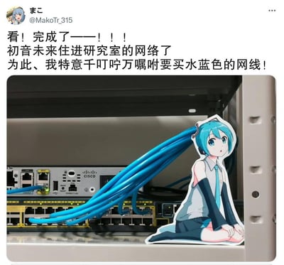 这是充满二次元脑洞的创意DIY作品：网友将初音未来的立牌贴在实验室的思科网络机柜上，特意选购了和初音发色一致的水蓝色网线，从立牌后方引出并连接到网络设备上，模拟出初音未来标志性的蓝发，营造出“初音未来住进研究室网络里”的趣味视觉效果，创意十足又充满治愈感。