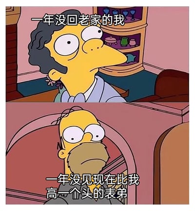 这是一张由美国经典动画《辛普森一家》的两张截图拼接而成的上下对比梗图。上图展示的是一位头发整齐、神态平和的动画角色，配文“一年没回老家的我”，呈现出在外打拼一年后回到家乡时的状态；下图是动画主角荷马·辛普森，他头发凌乱、带着胡茬，眼神呆滞错愕，配文“一年没见现在比我高一个头的表弟”。通过两个角色形象的反差，精准调侃了许多人过年回家时，突然发现亲戚家的晚辈在短短一年间快速长高，给自己带来的惊讶与反差感，引发在外打拼年轻人的共鸣。