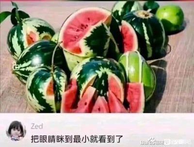 这是一张利用错位构图制造视觉错觉的静态图，画面中摆放着多个带有绿黑相间纹路的西瓜，部分西瓜的位置与其他西瓜的红色瓜瓤重叠，营造出这些西瓜被切开的假象。图下方是社交媒体的评论区域，用户“Zed”留言提示“把眼睛眯到最小就看到了”，引导观看者识破这个视觉陷阱：当眯起眼睛时，视觉的模糊效应会让原本错位的瓜皮和瓜瓤的分界更清晰，能发现它们其实分属不同的西瓜，并非同一个西瓜被切开。