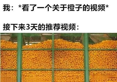 图片上方文字描述“我：*看了一个关于橙子的视频* 接下来3天的推荐视频：”，下方是一张堆满大量橙子的图片，橙子被整齐放置在绿色的格子状容器中，形成密集的橙色视觉效果。整体通过文字与图片结合，幽默地吐槽了视频平台算法在用户观看某类内容后过度推荐相似内容的现象，展现了对个性化推荐机制“信息茧房”效应的调侃。