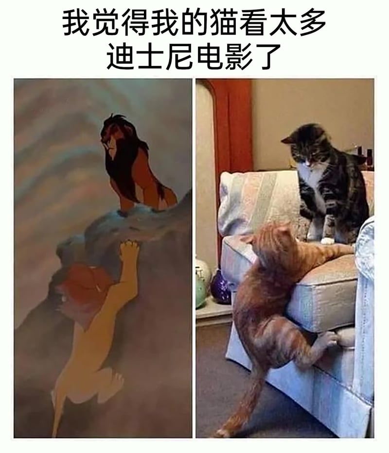 刀疤