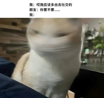 这是一张图文混排的搞笑表情包，采用顶配底文的结构，上方文字设定了社恐人群的典型场景：自己刚感慨应该多出去社交，朋友刚要开口提出邀约，下方搭配一张画面模糊的浅色猫咪实拍图，猫咪正快速晃动头部，生动表现出当事人听到社交邀约时下意识立刻拒绝的反应，精准贴合当代年轻人回避社交的真实心态，诙谐有共鸣。