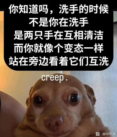 图片上方有一段黑色背景白色文字："你知道吗，洗手的时候不是你在洗手是两只手在互相清洁而你就像个变态一样站在旁边看着它们互洗"。下方是一只棕色吉娃娃的特写照片，它有着异常大的眼睛，表情看起来既惊讶又有点惊恐。狗的额头上有白色文字"creep."。整个图片通过将日常洗手行为进行荒诞的拟人化解读，配合小狗惊恐的表情，形成幽默效果。