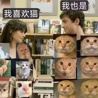 耄耋（猫爹）