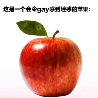 这张梗图展示了一个带有绿色叶子的红苹果，上方配有文字'这是一个会令gay感到迷惑的苹果:'。图中的幽默点在于文字与普通苹果的结合，引发观者的好奇心和迷惑感，属于中文互联网上流行的搞笑梗图类型，常用于社交媒体分享以制造笑点。