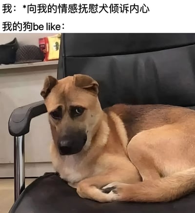 图片上方有两行文字，分别是“我：*向我的情感抚慰犬倾诉内心”和“我的狗be like：”。下方是一只棕色的狗趴在黑色的办公椅上，耳朵耷拉着，眼神看起来有些困惑和担忧，似乎对主人的倾诉感到不知所措。通过拟人化的对比，幽默地展现了宠物在面对主人情感倾诉时的真实反应，带有轻松搞笑的氛围。