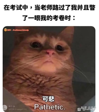 这是一张贴合校园考试场景的搞笑梗图，上方配文设定了场景：“在考试中，当老师路过了我并且瞥了一眼我的考卷时：”，下方是一只眼眶湿润、表情委屈无助的橘猫，猫的下方配有“可悲 Pathetic.”的文字。这张图通过拟人化的方式，将学生在考试时，担心自己答题情况不佳，或是害怕被老师怀疑作弊的紧张、心虚又无助的情绪，用橘猫的生动表情直观地展现出来，精准戳中了学生群体在考试时的焦虑心态，容易引发共鸣。