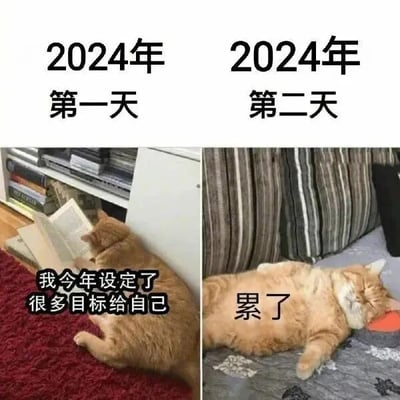 这是一张左右对比的搞笑梗图，左侧标注“2024年第一天”，画面里一只橘猫趴在红色地毯上，正低头看着面前摊开的书，下方配文“我今年设定了很多目标给自己”，精准还原了新年伊始，人们充满斗志、立下诸多新年计划的踌躇满志状态；右侧标注“2024年第二天”，同一只橘猫四仰八叉地躺在带有条纹靠枕的沙发上，双眼紧闭，下方配文“累了”，呈现出仅仅过了一天，就因目标带来的压力而失去动力、只想躺平的疲惫状态。这张图用猫咪的真实状态反差，生动调侃了很多人在新年立flag后，往往“三分钟热度”，很快就放弃计划的普遍现象，十分贴合大众在新年前后的情绪变化，容易引发共鸣。