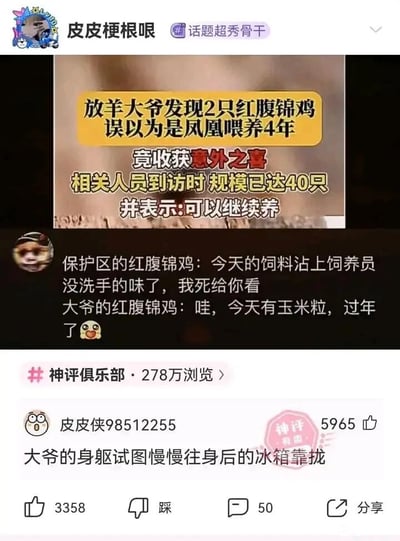 这是一张竖屏手机格式的社交媒体截图，属于图文混排的搞笑内容，来自“神评俱乐部”板块，浏览量达278万。内容分为三部分：顶部是新闻标题，讲述放羊大爷将2只红腹锦鸡误认为凤凰喂养4年，4年后锦鸡规模已达40只，相关人员表示大爷可以继续饲养；中间是网友创作的趣味对比对话，调侃保护区的红腹锦娇贵挑剔，嫌弃饲料有异味放狠话，而大爷养的红腹锦鸡则十分接地气，吃到玉米粒就像过年一样开心；底部是高赞神评，用户“皮皮侠98512255”评论“大爷的身躯试图慢慢往身后的冰箱靠拢”，用调侃的方式暗示大爷可能想把锦鸡做成菜肴，这条评论获得5965个赞，整个内容围绕真实新闻事件展开，通过对比和调侃制造出浓厚的搞笑氛围。