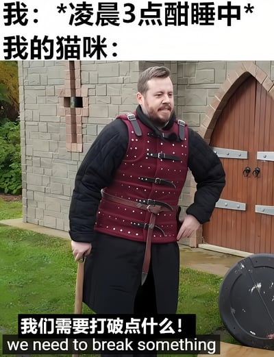 这是一张搞笑 meme 图，通过文字与画面的反差制造幽默效果。上方文字描述“我：*凌晨3点酣睡中* 我的猫咪：”，下方是一位身穿红色中世纪盔甲、手持木杖的男子站在石墙建筑前，配文“我们需要打破点什么！we need to break something”。图片用拟人化的方式调侃猫咪在深夜精力旺盛、总想搞破坏的特点，展现了铲屎官面对猫咪夜间捣乱时的无奈又好笑的场景。