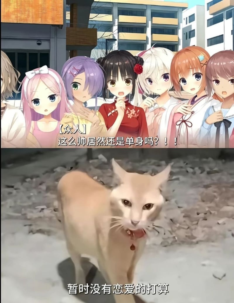 未知二次元美少女类游戏