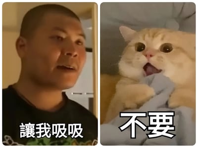 这是一张左右对比的搞笑梗图，左侧是一位光头男子，表情带着渴望，下方配有文字“讓我吸吸”；右侧是一只橘色猫咪，瞪大双眼，嘴巴张开露出惊恐抗拒的表情，下方配有文字“不要”。图片通过人物和猫咪的表情及文字形成鲜明对比，营造出幽默效果，展现了人们想“吸猫”时猫咪抗拒的有趣场景。