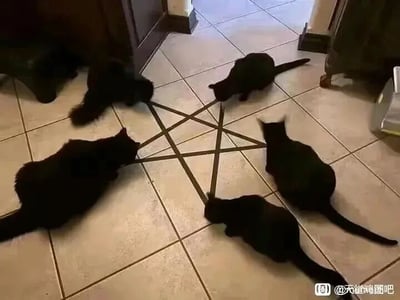 暂无描述