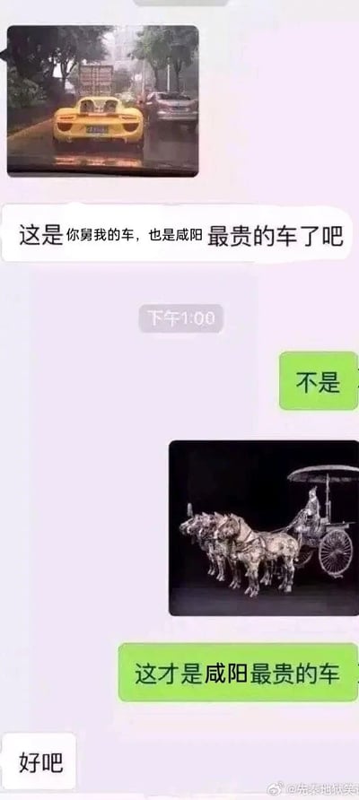 这是一段竖屏格式的微信聊天记录截图，对话发生在舅舅和晚辈之间。舅舅首先发送了一张黄色跑车的照片，并配文称这是自己的车，也是咸阳最贵的车；晚辈回复“不是”后，发送了一张秦始皇陵铜车马的图片，称这才是咸阳最贵的车，舅舅最后回复“好吧”。这段对话利用咸阳作为秦朝古都的历史背景，将现代价值不菲的跑车与作为国宝文物、价值无法用金钱衡量的秦始皇陵铜车马进行对比，制造出幽默的反差效果，笑点在于文物的无价属性和地域历史梗的巧妙结合。