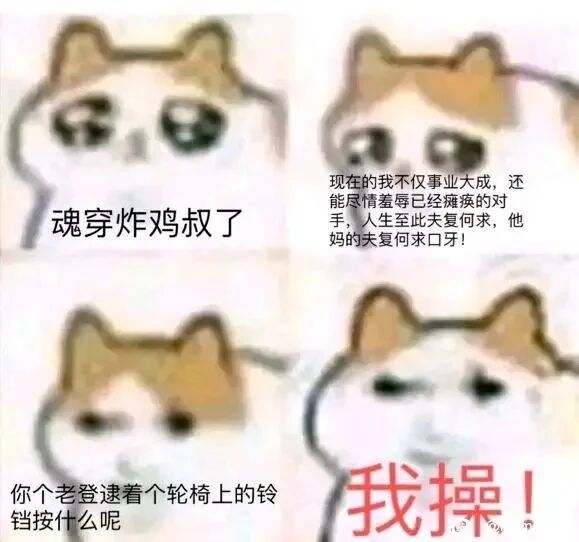 meme表情包