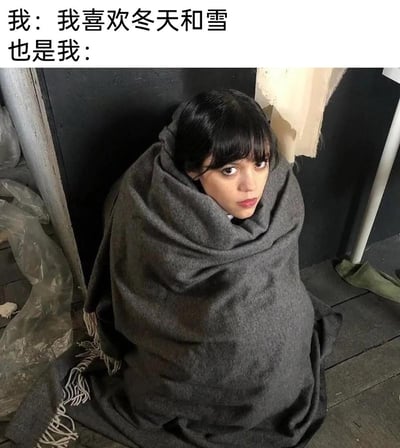 这是一张极具共鸣的搞笑梗图，上方配文“我：我喜欢冬天和雪”，下方对应演员珍娜·奥尔特加用灰色大毯子把自己严严实实裹住、缩在角落的照片，配文“也是我：”。该梗图精准戳中了很多人的矛盾心理：既喜欢冬天和雪带来的浪漫氛围，又难以忍受冬日的寒冷，只能用夸张的方式把自己裹起来取暖，生动又幽默地展现了这种口是心非的真实日常。