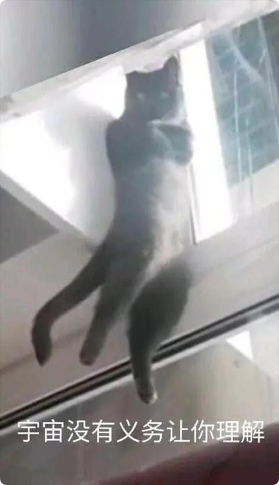 一只黑猫四肢展开挂在玻璃窗户上，身体呈现拉伸状态，背景有室内光线和窗外景象。图片底部配有文字'宇宙没有义务让你理解'，整体营造出一种荒诞又带点哲学意味的氛围，猫咪的奇特姿势与文字内容形成有趣反差。