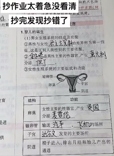 图片展示了一页初中生物课本的作业页面，章节为“婴儿的诞生”，主要涉及男女生殖系统的组成及功能。页面中的填空题被手写填入了一系列离谱的错误答案，如将“第一性征”写成“君主立宪制”，男性主要性器官填“金字塔”，产生“意大利”并分泌“但丁”；女性卵巢产生“英国”、分泌“麦哲伦”，输卵管输送“汽车”和“飞机”，子宫是“达尔文”发育的主要场所。图片顶部有两行醒目的文字覆盖：“抄作业太着急没看清”和“抄完发现抄错了”，幽默地呈现了学生因匆忙抄作业而闹出的笑话，充满校园生活的搞笑与尴尬气息。