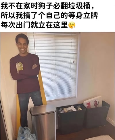 图片上方配有文字说明：'我不在家时狗子必翻垃圾桶，所以我搞了个自己的等身立牌每次出门就立在这里😥'。下方是一张室内照片，墙角处立着一个穿着酒红色毛衣和牛仔裤的真人等身立牌，立牌双臂交叉，面带微笑。立牌旁边放着三个垃圾桶，其中一个垃圾桶里有披萨盒等垃圾。整体场景幽默地展现了主人为防止狗狗翻垃圾桶而采取的创意措施，透露出铲屎官的无奈与机智。
