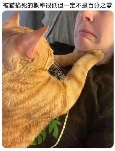 图片中一只橘猫用前爪环住人的脖子，做出类似“掐脖子”的动作，配合上方文字“被猫掐死的概率很低但一定不是百分之零”，形成幽默场景。橘猫表情专注，毛发呈橙黄色带有条纹，人则露出略带无奈又好笑的神情，整体氛围轻松搞笑，展现了宠物与主人间的趣味互动。