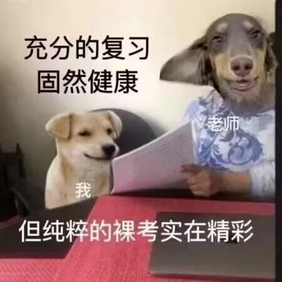 图片中左侧是一只表情平静的小狗，标注为“我”，右侧是一只戴着蓝色花纹头巾、手持纸张的狗狗，标注为“老师”。上方文字写着“充分的复习固然健康”，下方文字则是“但纯粹的裸考实在精彩”，通过拟人化的狗狗形象和幽默文字，调侃了学生群体中“认真复习”与“裸考（不复习直接考试）”两种状态的对比，带有轻松诙谐的吐槽意味。