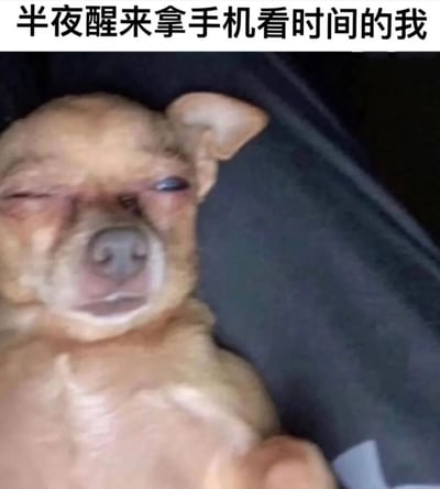 图片上方配有文字“半夜醒来拿手机看时间的我”，下方是一只小型犬（疑似吉娃娃）的特写。小狗眼睛半睁半闭，眼神中透着明显的疲惫和惺忪，面部表情略显无奈，身体半躺在深色的柔软表面上（可能是座椅或床铺），整体状态完美还原了人们半夜醒来迷迷糊糊拿手机看时间的真实模样，通过宠物的可爱形象幽默地展现了日常生活中的小场景。