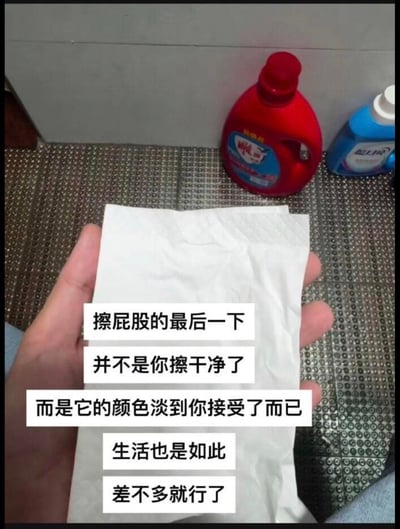 这张图拍摄于卫生间场景中，一只手拿着一张使用过的白色卫生纸，背景是带有镂空纹理的地垫，以及红色的雕牌洗衣液和蓝色的蓝月亮清洁用品。图中叠加了五段文字：“擦屁股的最后一下
并不是你擦干净了
而是它的颜色淡到你接受了而已
生活也是如此
差不多就行了”，用如厕时的日常小事类比人生，传递出一种对生活不必苛求完美，要学会接受不完美、与现实妥协的无奈又现实的生活感悟，内容直白，没有双关或谐音梗，属于扎心的生活类吐槽。