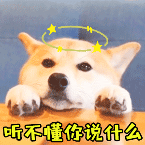 柴犬歪头听不懂表情包GIF