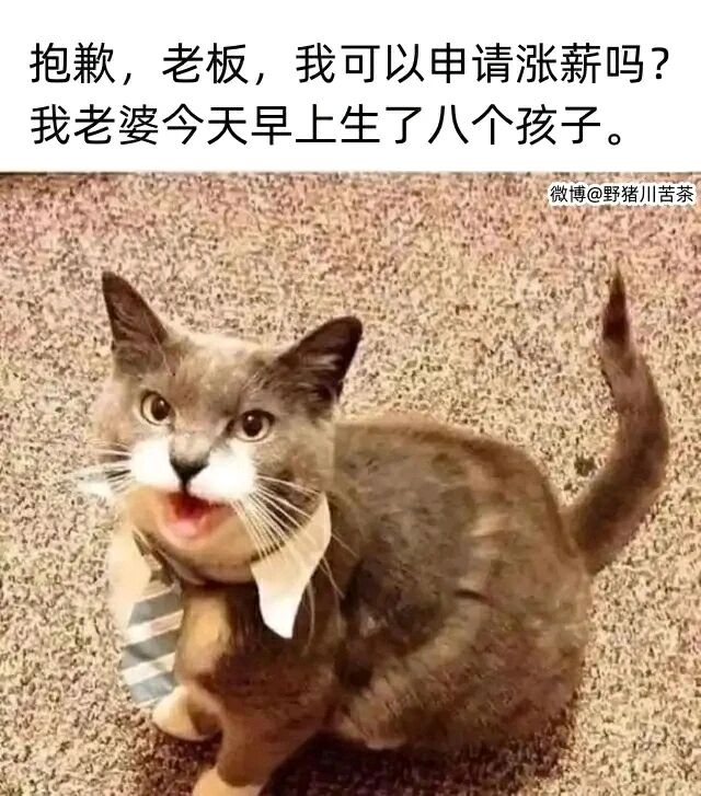 公司职员