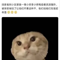 这是一张竖屏手机格式的图文结合梗图，上方配有一段搞笑生活段子文字：'刚回到小区里见一堆小孩拿小铃铛追着保洁跑，被保安喊住了让他们不要这样干，他们说他们在赶年兽'，下方搭配了一张表情疑惑茫然的猫咪表情包，用猫咪的神态来表现听到这个离谱解释后的迷惑心情，整体充满诙谐搞笑的氛围，容易引发网友共鸣。