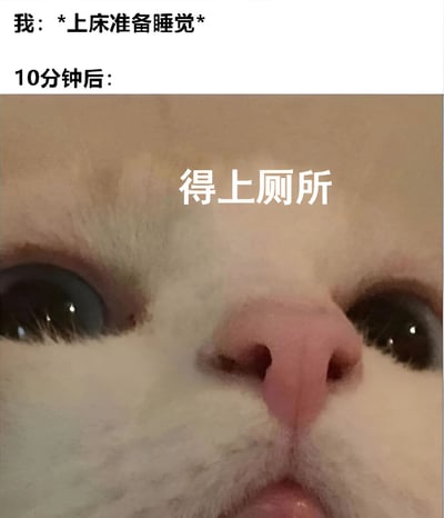 图片上半部分为文字描述：'我：*上床准备睡觉*'和'10分钟后：'，下半部分是一张白猫的面部特写照片，猫咪睁大双眼，眼神警觉，照片上叠加文字'得上厕所'。整体通过猫咪的表情和文字结合，幽默地表现了人们上床准备睡觉后不久突然需要上厕所的常见生活场景，引发共鸣。